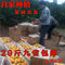 上下架计划:【现摘橙】正宗赣南脐橙新鲜脐橙水果汁多味甜自然熟无公害20斤