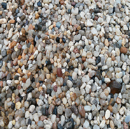 鱼缸造景水草种子无需CO2水草种子水草籽发