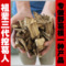 上下架计划:张家界 野生葛根片 葛根茶 可配葛根粉 自产自销 祖辈三代挖葛人