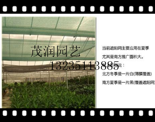 遮阳网防晒网加密3针4针6针蔬菜草莓大棚遮阴隔热防尘黑网在类目 鲜花速递/花卉仿真/绿植园艺, 园艺用品, 其它园艺用品中 - 来自Buy2taobao.com提供专业的淘宝代购服务