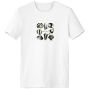 海洋生物黑色扇贝插画男女白色短袖T恤创意纪念衫个性T恤衫礼物