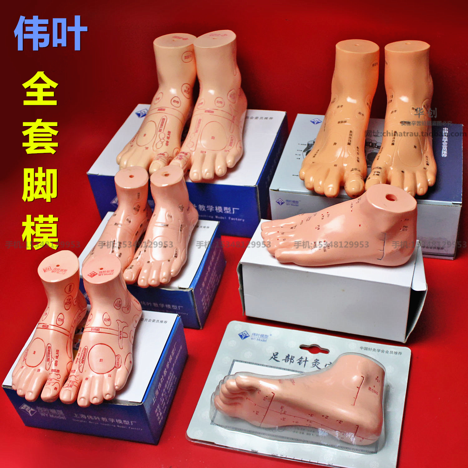 偉葉足部反射區模型兒童成人腳模中醫足療經絡穴位按摩足模型高清在類目 玩具/童車/益智/積木/模型, 靜態模型, 其他模型玩具中 - 來自Buy2taobao.com提供專業的淘寶代購服務