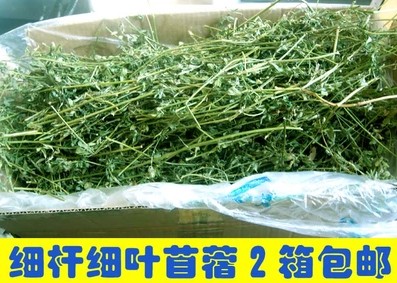 龙猫宠物食物1kg兔草紫花苜蓿草干草荷兰猪豚鼠兔粮龙猫苜草干粮在类目 宠物/宠物食品及用品, 仓鼠类及其它小宠, 饲料/零食中 - 来自Buy2taobao.com提供专业的淘宝代购服务