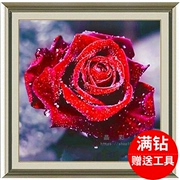 diy钻石绣5d满钻情侣礼物，娇艳红玫瑰花，钻石画十字绣方钻圆钻