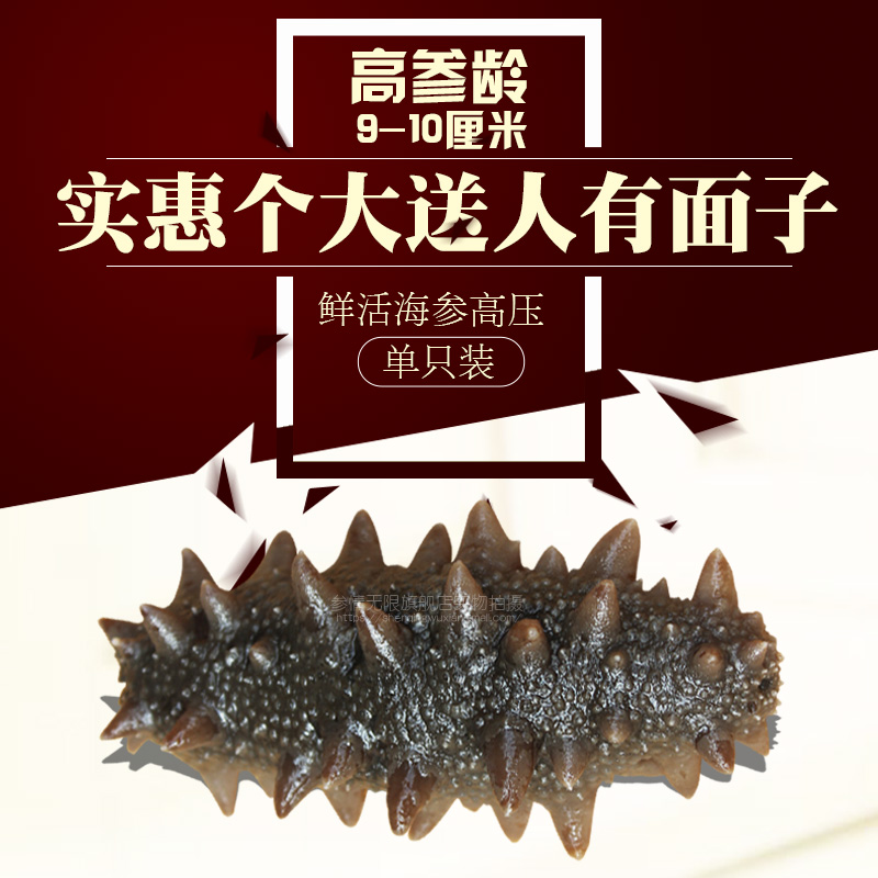 参情无限即食海参9-10cm海鲜海参鲜活体高压刺参深海水产满额包邮在类目 水产肉类/新鲜蔬果/熟食, 海鲜/水产品/制品, 海参中 - 来自Buy2taobao.com提供专业的淘宝代购服务