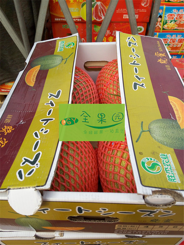 新疆哈密瓜 丝路晓蜜 脆甜爽口果蜜瓜新鲜水果 4-5个毛重20斤左右在类目 水产肉类/新鲜蔬果/熟食, 新鲜水果, 哈密瓜中 - 来自Buy2taobao.com提供专业的淘宝代购服务
