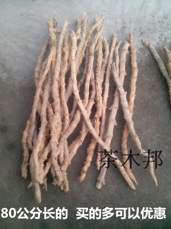 竹鞭筷子托茶道搁架原料竹根雕 把件手串笔搁竹节鞭烟斗DIY耗材在类目 餐饮具, 茶具, 茶道/零配中 - 来自Buy2taobao.com提供专业的淘宝代购服务