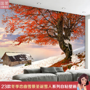 3d立体墙贴壁画贴纸壁纸，自粘墙纸冬季雪景圣诞，雪人客厅贴画背景墙