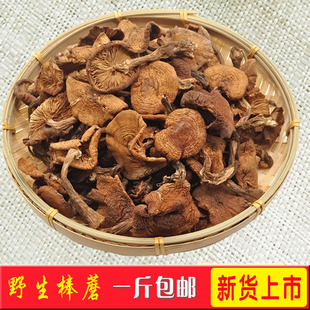 东北特产野生榛蘑干货500g天然晾晒美味食品小鸡炖蘑菇无根干