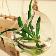 创意悬挂式水培玻璃花瓶，微景观多肉，植物吊瓶绿萝水培植物花瓶