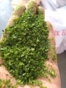 脱水海苔粒500g海苔粒面包，烘焙寿司材料紫菜，海苔碎章鱼小丸子