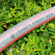 狮王橡胶塑料水管软管防冻花园高压4分/6分pvc自来水园林浇花管
