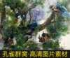 高清孔雀群画像动物装饰画油画，国画电子版jpg格式，tif图片素材d