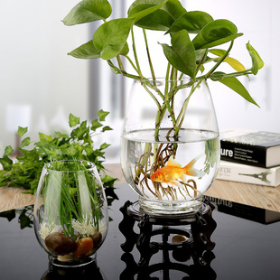 大号玻璃水培植物花瓶容器 创意透明绿萝植物富贵竹水养鱼缸器皿
