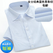 女士白底蓝色宽条纹短袖衬衫夏季银行OL工装V领修身半袖大码衬衣
