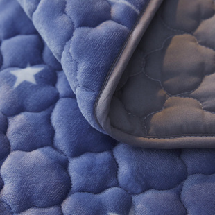 珊瑚绒床单冬季绒加绒，单件法兰绒毯子垫床毛毯褥子加厚法莱绒双层