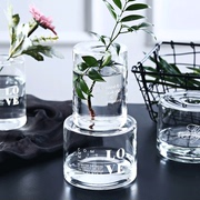 简约小孔玻璃花瓶北欧桌面简约插花瓶水培透明花瓶客厅干花香薰瓶