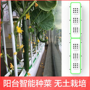 阳台种菜花盆机设备神器家庭，室内菜园水培，无土栽培有机蔬菜种植箱