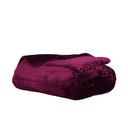 纯色双层法兰绒毛毯加厚珊瑚绒毛毯冬季用法莱绒毯子，单双人(单双人)盖毯子