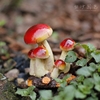 外贸出口原单蘑菇微景观儿童房花园桌面植物摆件树脂装饰品