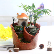 创意空中花园多肉苔藓微景观，植物龙猫生态瓶，diy室内盆栽卡通花盆