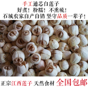 2022新鲜莲子无芯干货农家手工江西广昌石城通芯白莲500g粉糯莲米