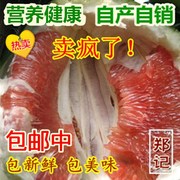 农家自产自销新鲜甜水果梅县琯溪红心柚子红肉蜜柚三红梅州柚