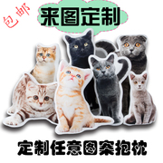 diy定制抱枕3d照片宠物枕头猫咪狗异形来图仿真礼物可印靠枕