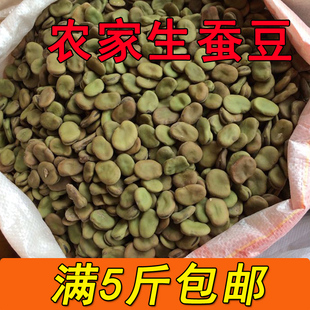 蚕豆新货 干蚕豆 生农家罗汉豆新鲜蚕豆胡豆500g 可发芽5斤