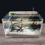 桌面生态鱼缸亚克力乌龟缸，小型水龟缸，客厅水陆造景缸带过滤免换水
