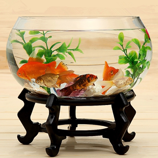 玻璃鱼缸圆形透明大号办公室创意，客厅裸缸桌面加厚玻璃，鼓缸金鱼缸(金鱼缸)