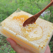 蜂巢蜜 农家自产纯蜂蜜成熟原蜜天然野生百花蜂窝 嚼着吃盒装500g