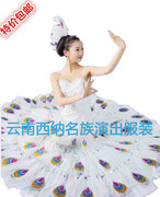 杨丽萍傣族孔雀舞舞蹈演出舞台表演民族服装舞成人女装