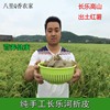 湖南衡阳土特产长乐河折假羊肉火锅粉条农家自制红薯粉丝500g