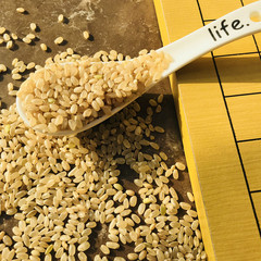 23年新米 东北糙米辽宁糙米500g发芽的米五谷杂粮 胚芽营养米