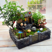 创意苔藓微景观生态瓶，龙猫盆栽桌面办公室，diy室绿植室内小植物