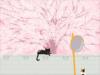 现代简约猫之四季春天樱花猫咪客厅房间日式挂画壁画无框画装饰画