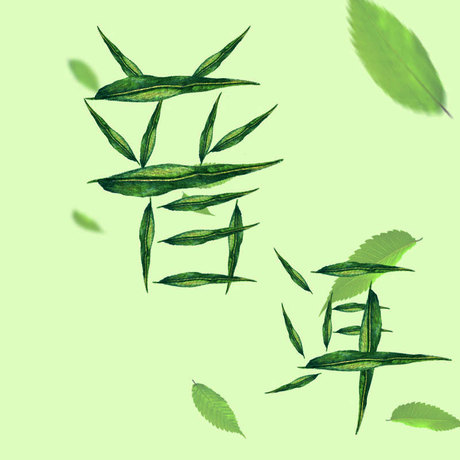 生茶饼357g