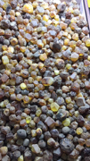 波罗的海琥珀原石珠子料 0-3克 琥珀原石 蜜蜡原石