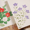 日本画和风手绘植物花卉图谱明信片金粉工艺 樱花红叶紫阳花1枚装
