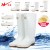 双星男女白色雨鞋低帮防滑食品卫生靴中筒雨靴高筒食品厂工作水鞋