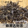 2019年真品麻黑古树茶普洱茶，生茶纯料名山，散茶古树春茶32克