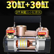电瓶电动车充气泵48-72v通用双缸，三轮车真空轮胎修理打气筒冲气机