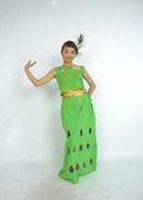 少数民族傣族服装/孔雀舞蹈傣族服饰/演出服装舞台成人女裙绿色