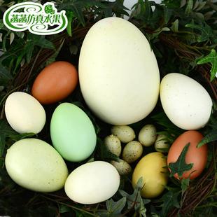 仿真鸡蛋鹅蛋鸭蛋鸵鸟蛋恐龙蛋，鹌鹑蛋巨蛋假鸡蛋，模型橱窗摄影道具