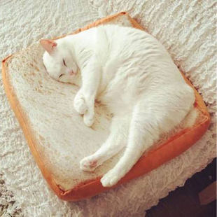 一片切片面包学生椅子坐垫吐司，宠物猫咪土司毛绒抱枕座垫玩具靠垫