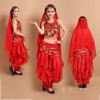 雪纺 印度舞服装演出服 肚皮舞套装 肚皮舞练习套装 舞蹈服装