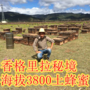 海拔3800香格里拉土蜂蜜1000g云南黑蜜百花蜜，纯天然土蜂蜜