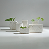 简约素烧水培白色陶瓷小清新花瓶创意家居现代摆桌面装饰绿萝花器