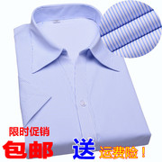 女士白底蓝色细条纹短袖衬衫夏季银行，ol工装v领修身半袖大码衬衣